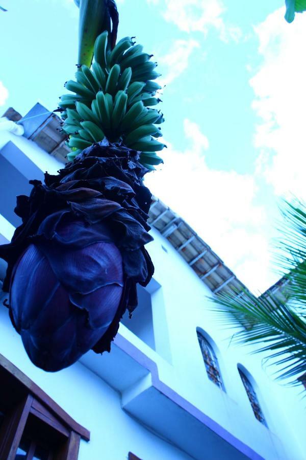 Hostel ดิวิโนโปลิส ภายนอก รูปภาพ